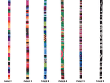 5mm Ethnic Webbing Jacquard Bohemian Pattern, Woven Braided Ribbon String - G.k Fashion Fabrics