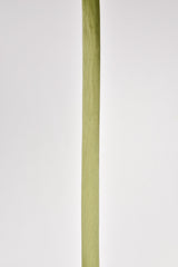 15 mm Satin Bias Tape/ Single Folded / 10 yards pack - G.k Fashion Fabrics Sage Green / 10 Yards Pack