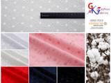 Dyed Pure 100% Cotton Eyelet Voil Embroidery Fabric -GK-27303 - G.k Fashion Fabrics