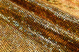 Satin Hologram Foil Fabric/ Versatile Snake Pattern - G.k Fashion Fabrics