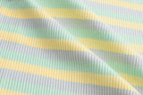 Striped Rib Knit Cotton Jersey Fabric - S1037 - G.k Fashion Fabrics