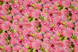 Dahlia Floral Linen Viscose Lawn Digitally Print Fabric - 208716 - G.k Fashion Fabrics