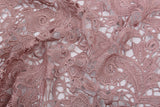 Guipure Swiss Cord Lace Embroidery Fabric - G.k Fashion Fabrics