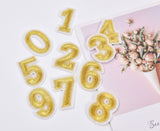 Alphabet, Gold, Silver Numbers Patch (2 Pieces Pack) Iron on , Sew on, Embroidered patches. - G.k Fashion Fabrics