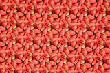 Cotton Woven Plain Textured Strawberry Digital Print Fabric - D#30 - G.k Fashion Fabrics